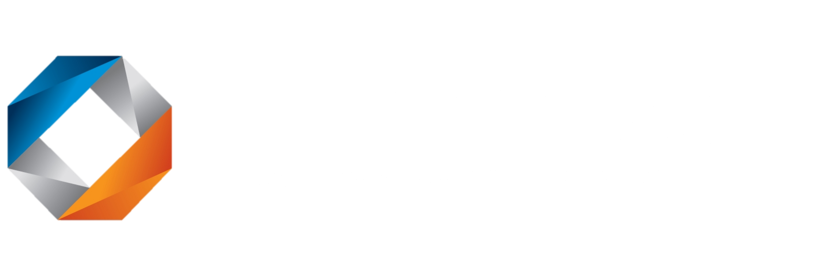 Teiseg Logo